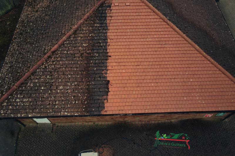 why-choose-us img-2717